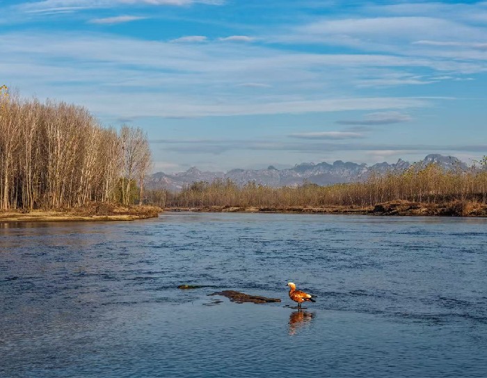 河湖长领治 建设幸福河